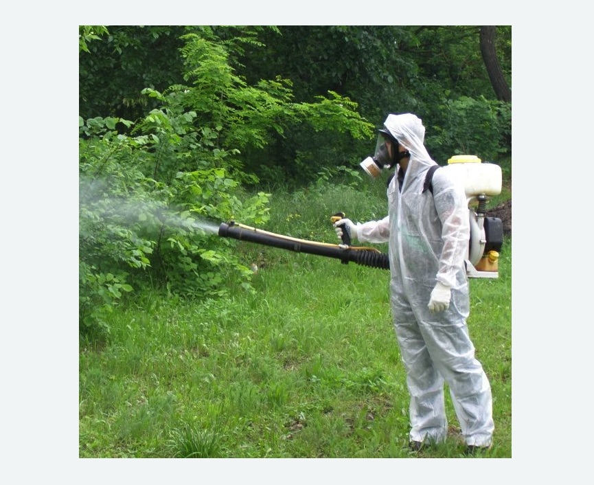 обработка территории от клещей в Томари