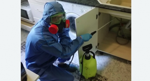 Уничтожение муравьев в квартире. Томари