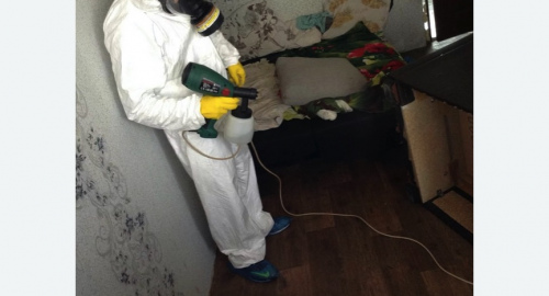 Обработка квартир от насекомых в Томари