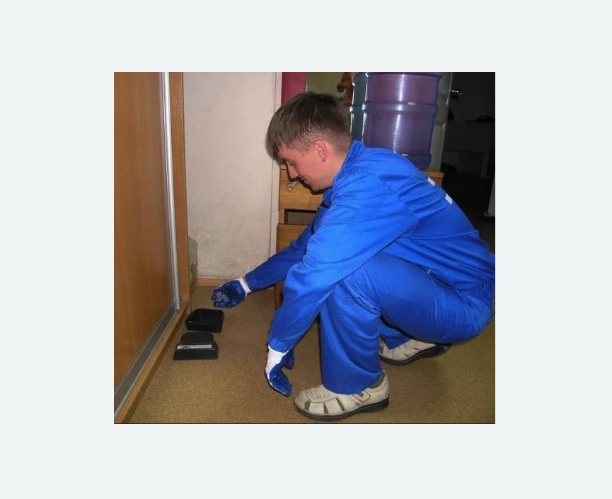 Дератизация крыс в Томари