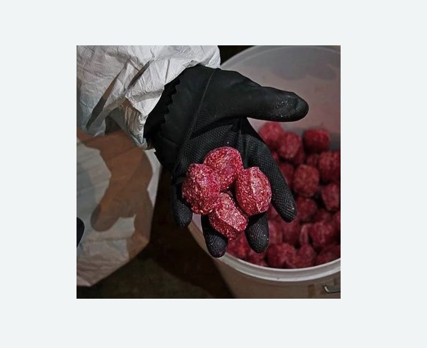 Обработка от крыс в Томари