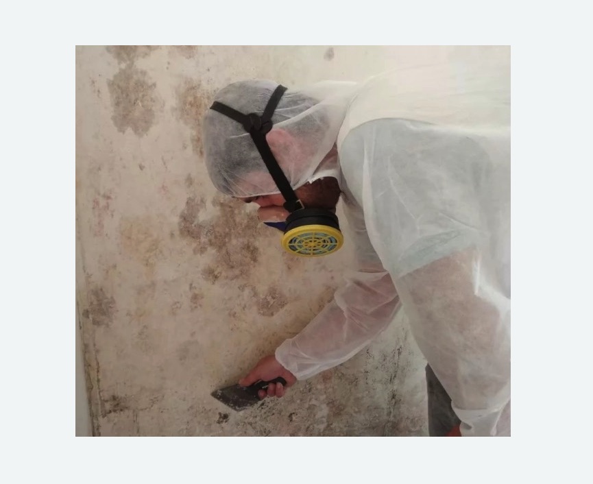 Обработка стен от плесени в Томари