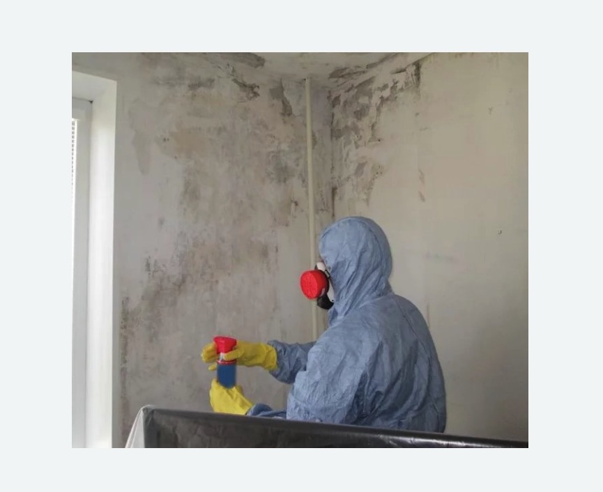 Удаление плесени в квартире в Томари
