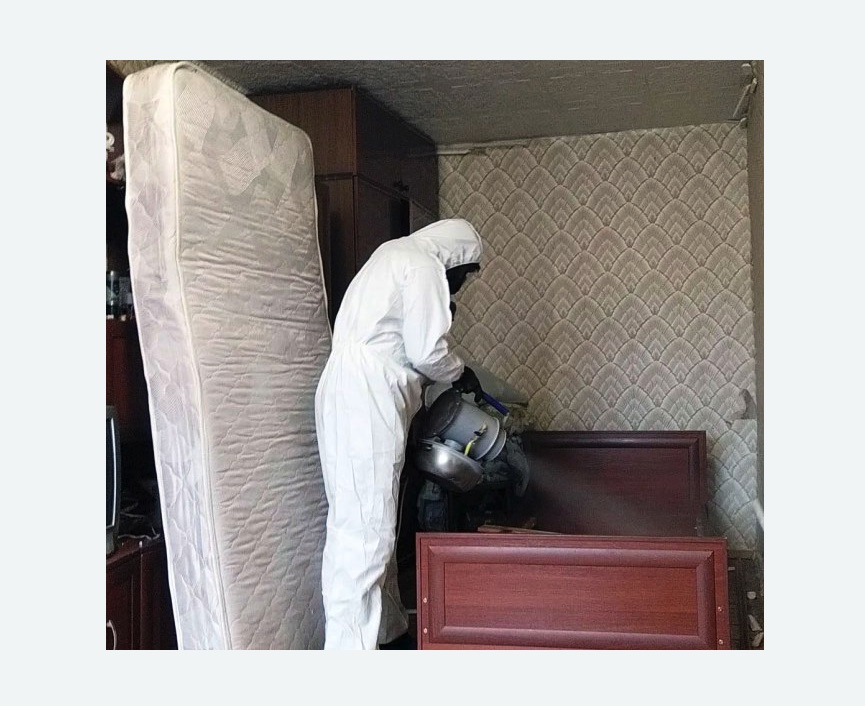 дезинфекция от клопов в Томари