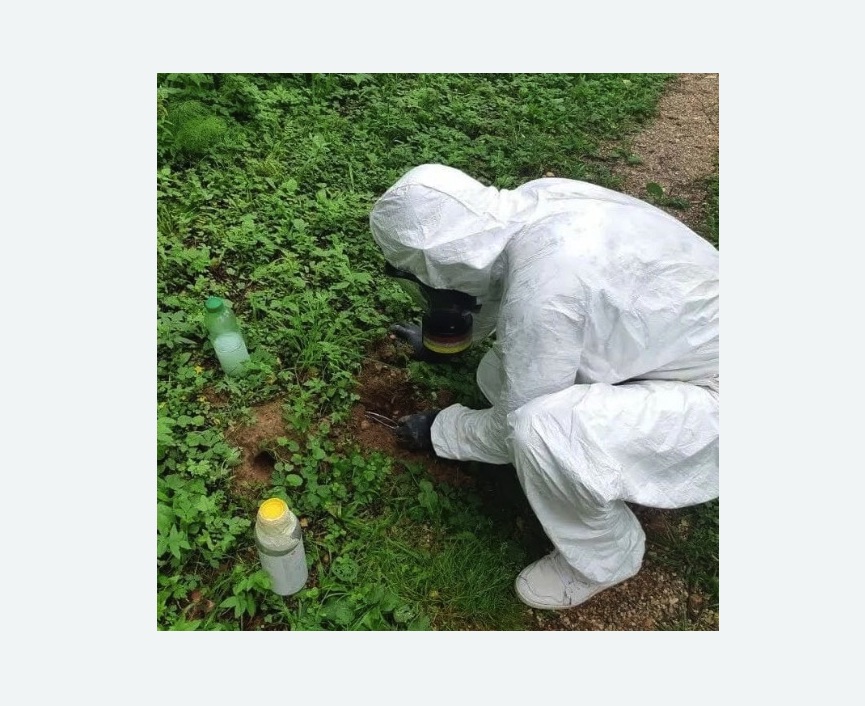 уничтожение кротов на участке в Томари