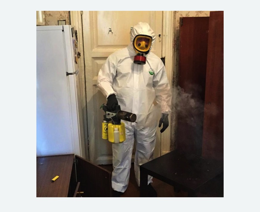 уничтожение муравьев в квартире в Томари